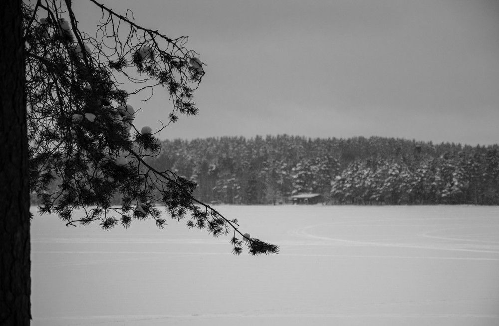 Photograph by Nora Cheprasova