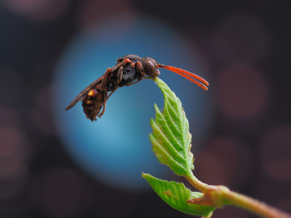 Photograph by Евгений Лукашук