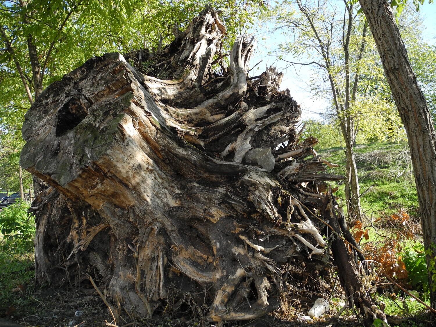 Photo #5826130