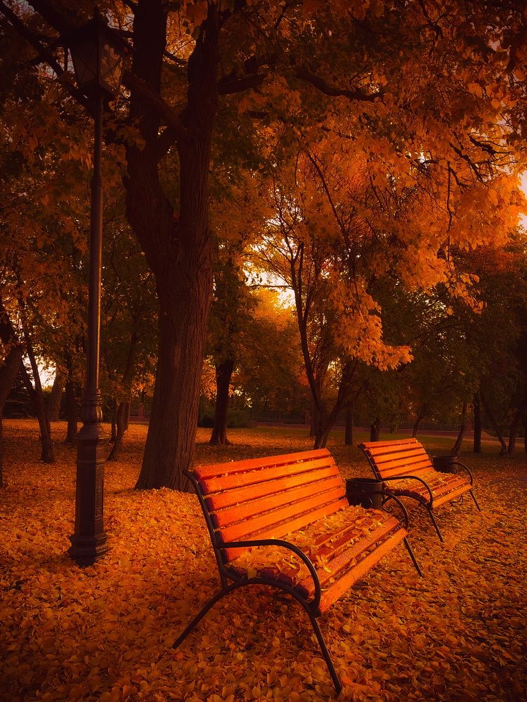 Photograph by Ольга Мукина