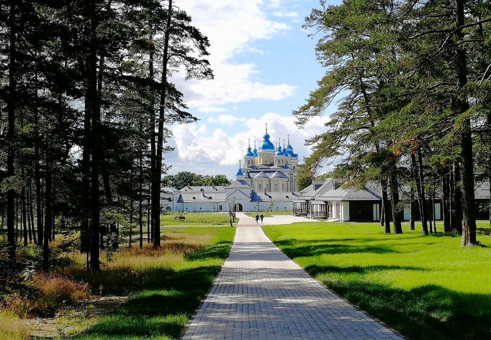 Photograph by Елена