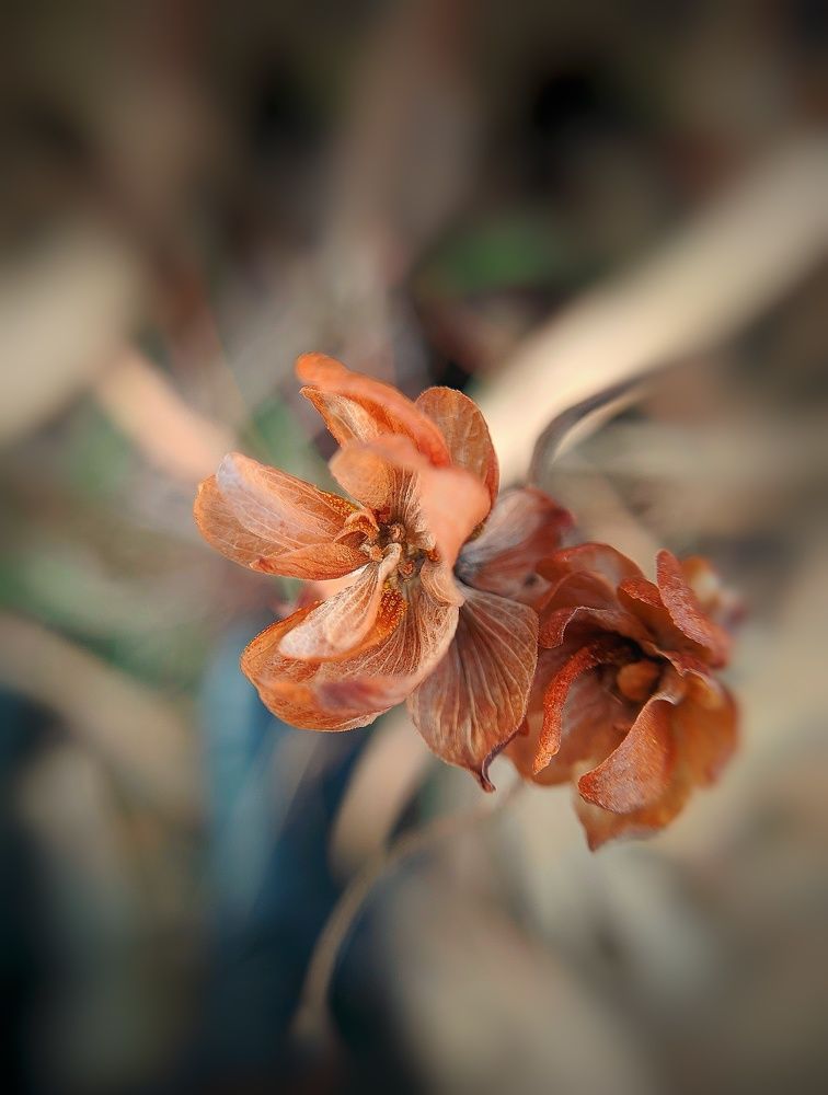 Фотография автора Наталья Синицына