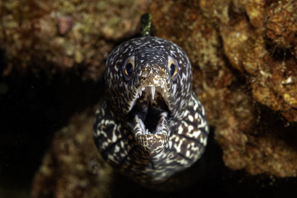 Photograph by Павел Чистяков