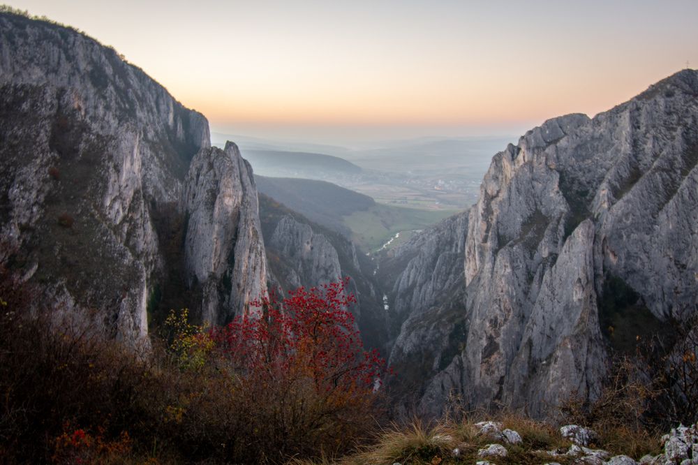 Photograph by Cosma Laura