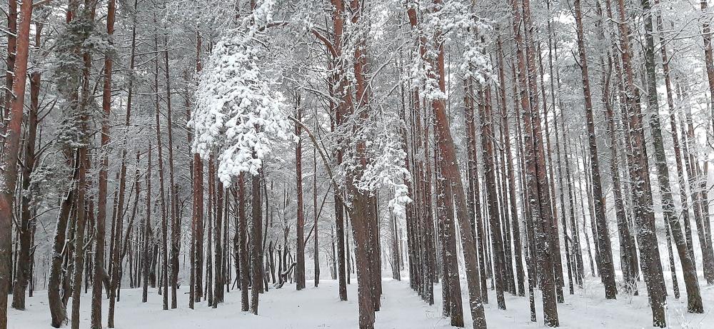 Photograph by Марийона Савоненко