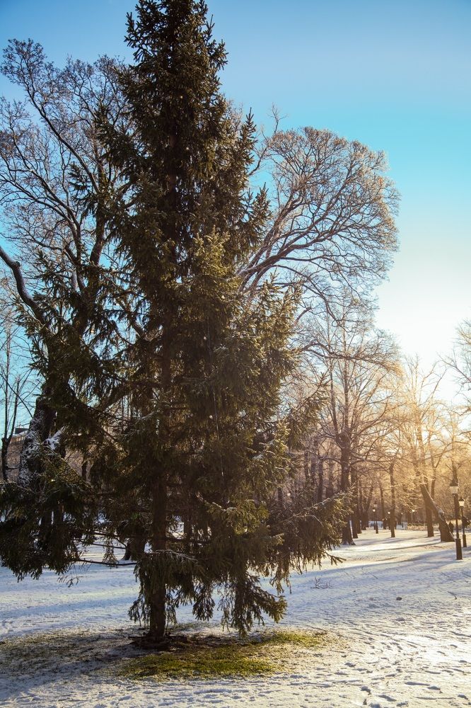 Photograph by Oksana Troshina