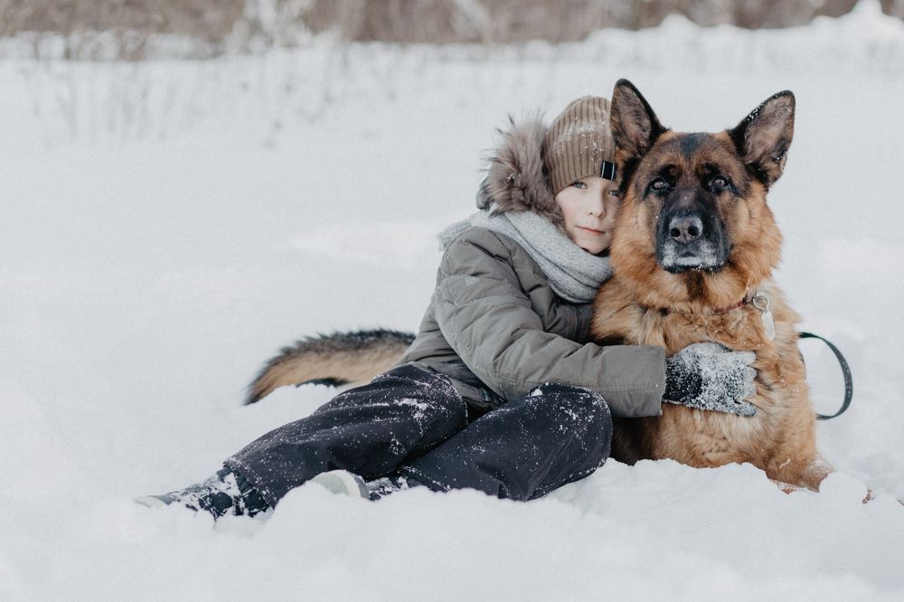 Photograph by Veronika Trubnikova