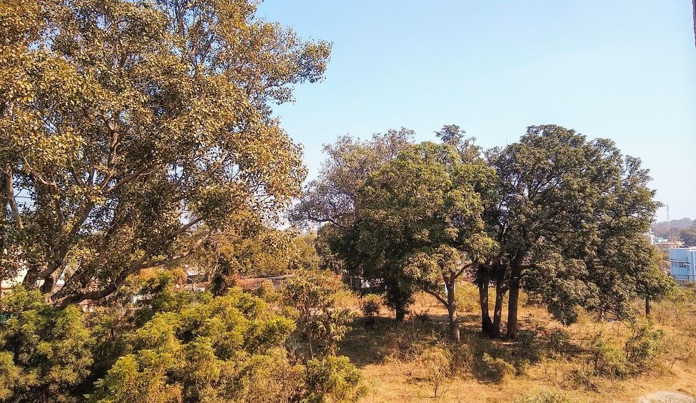 Photo #5826340