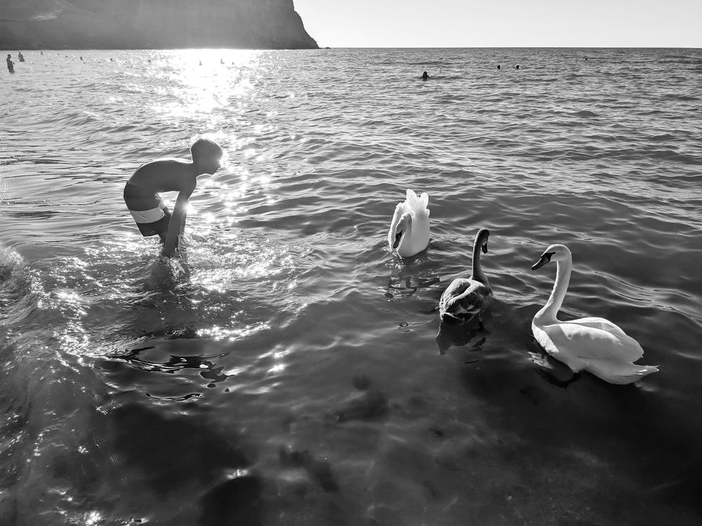 Photograph by Александр Казанцев