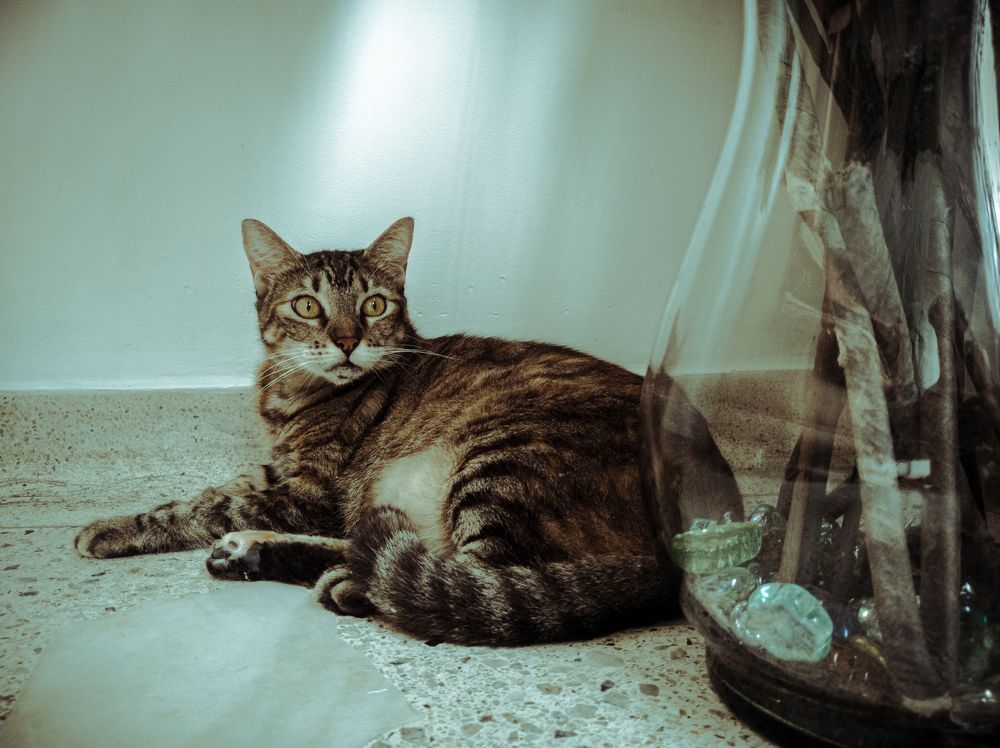 Photograph by Cristian Camilo Ibáñez Mendinueta