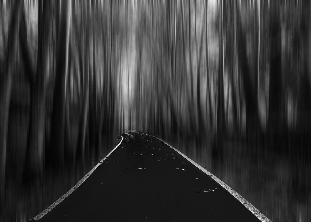 Photograph by Abolfazl Jafarian