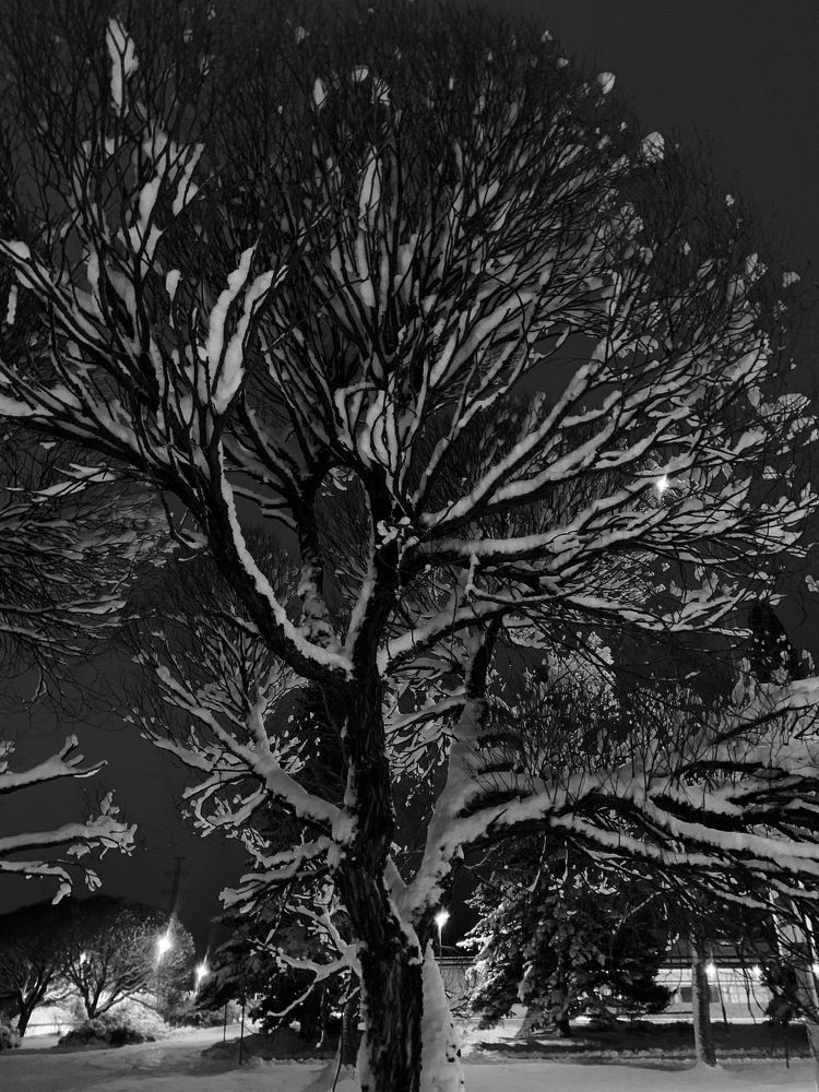 Photograph by Tatiana