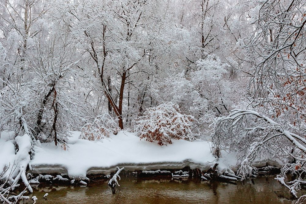 Графика Зимы.