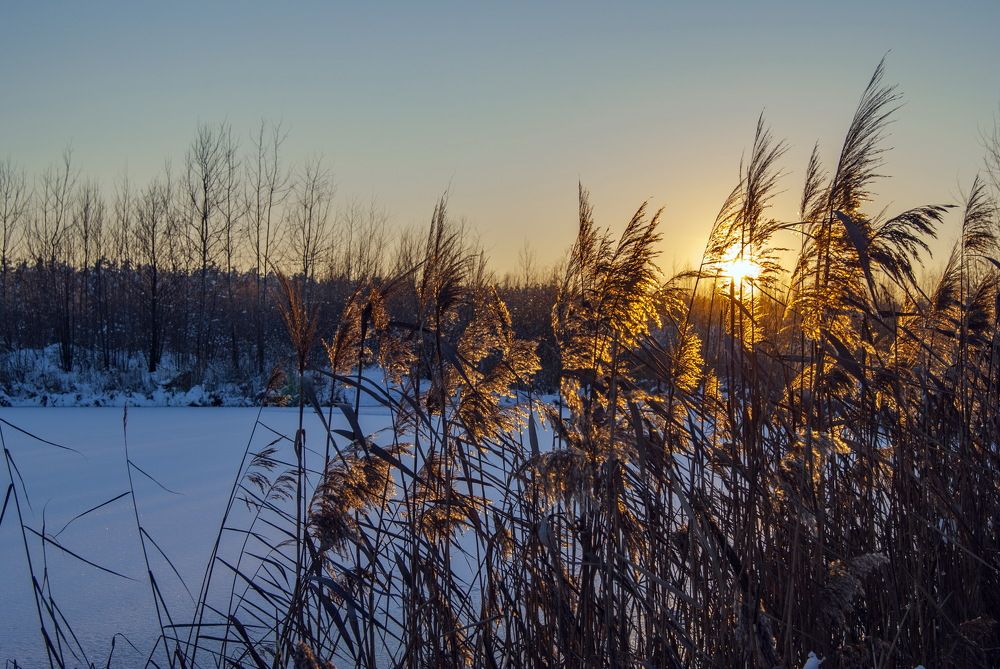 Photograph by Екатерина Бахтинова