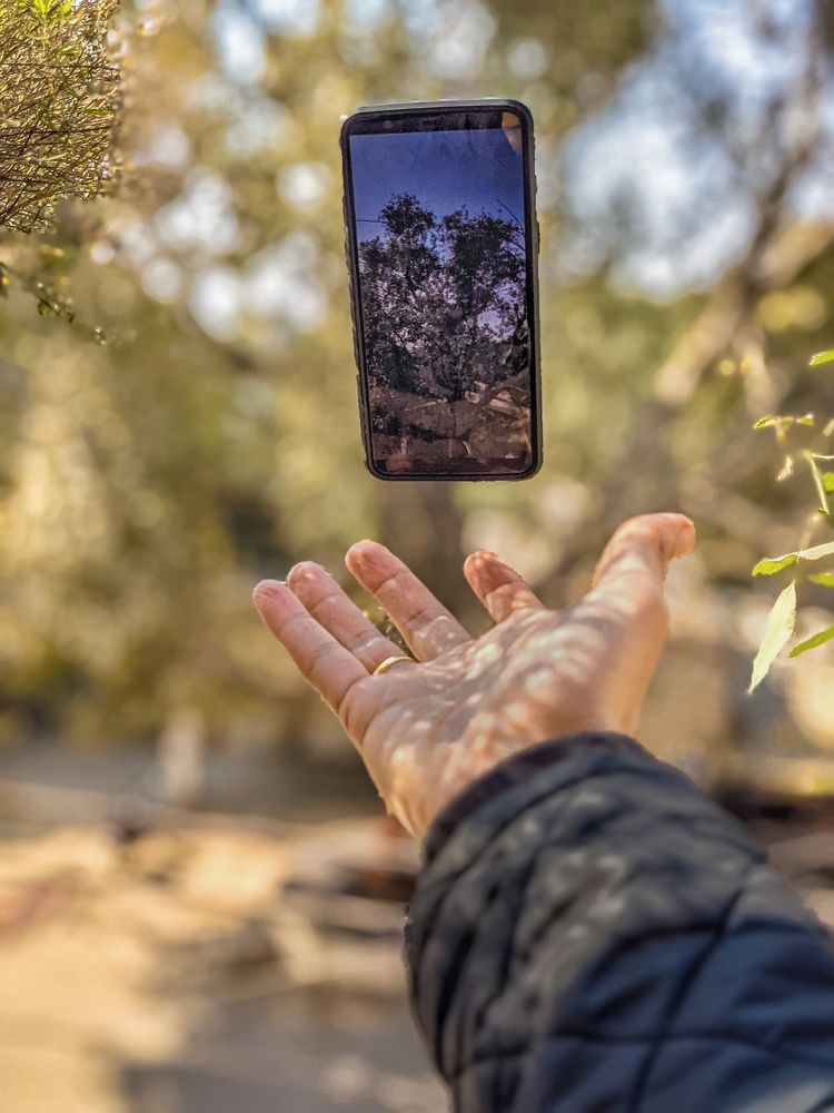 Lost time is never found again