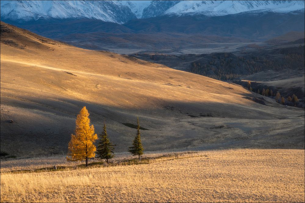 Photograph by Leonid Shtishevskiy