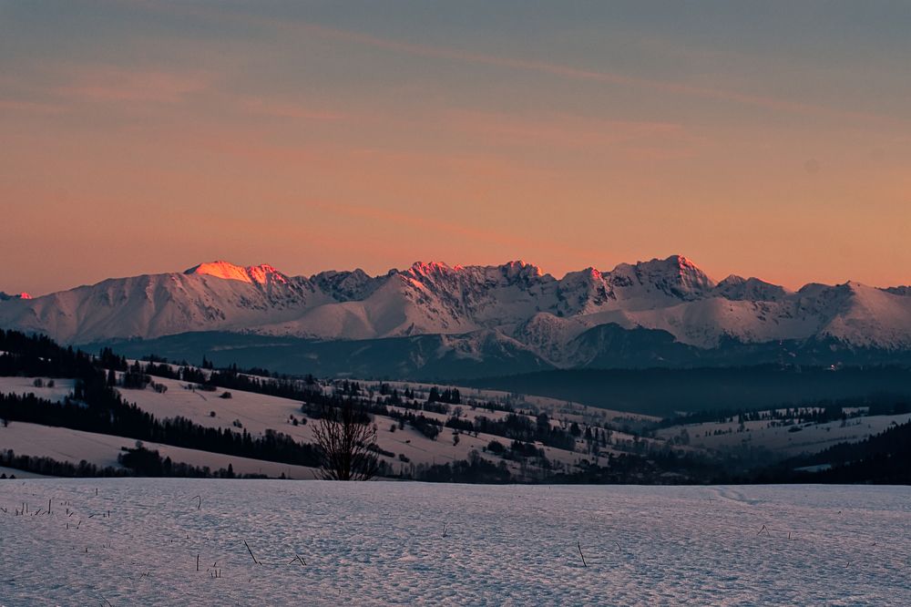 Photograph by Dominik Lipka