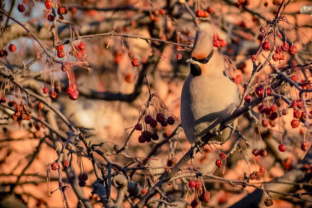 Photograph by Дмитрий Огольцов