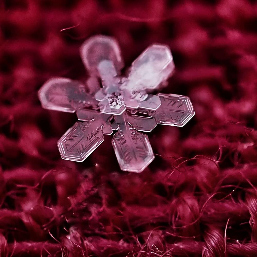 Photograph by Ирина