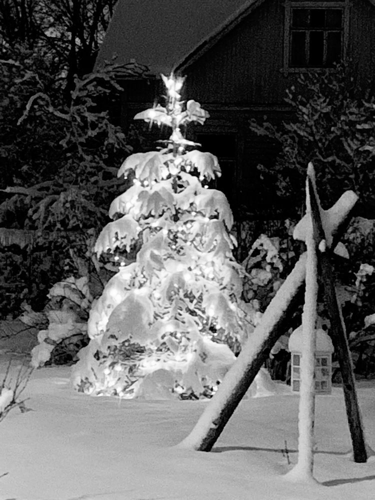 Photograph by Tatiana