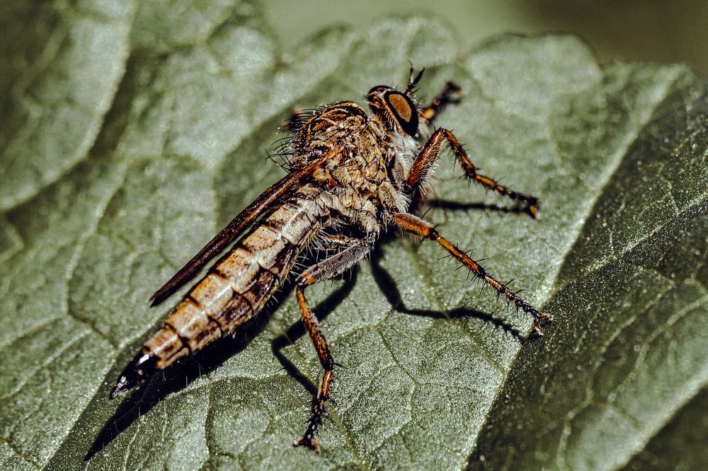 Photograph by Александр Казак