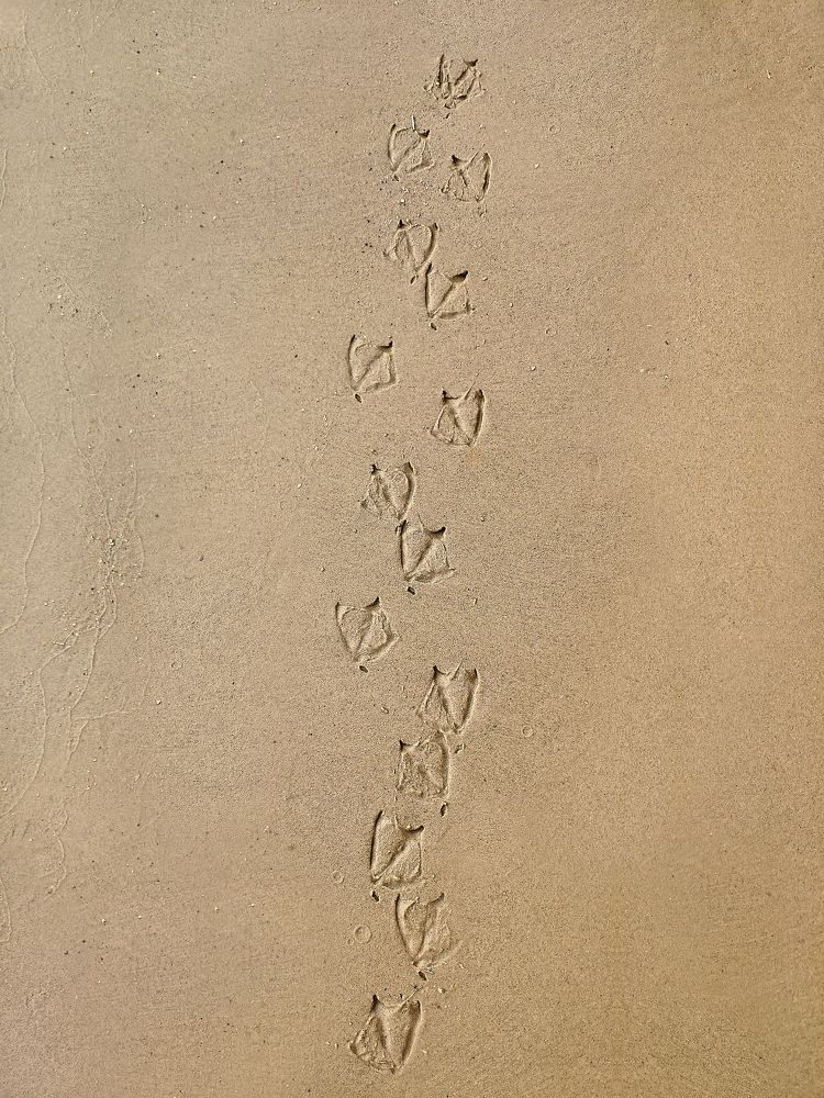 Фотография автора Александр Османов