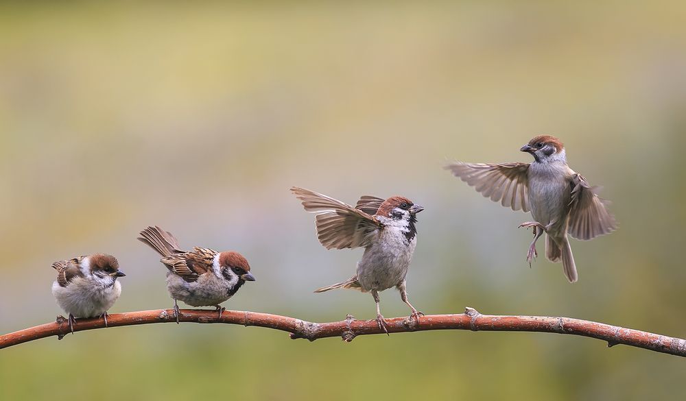 Photograph by Наталья