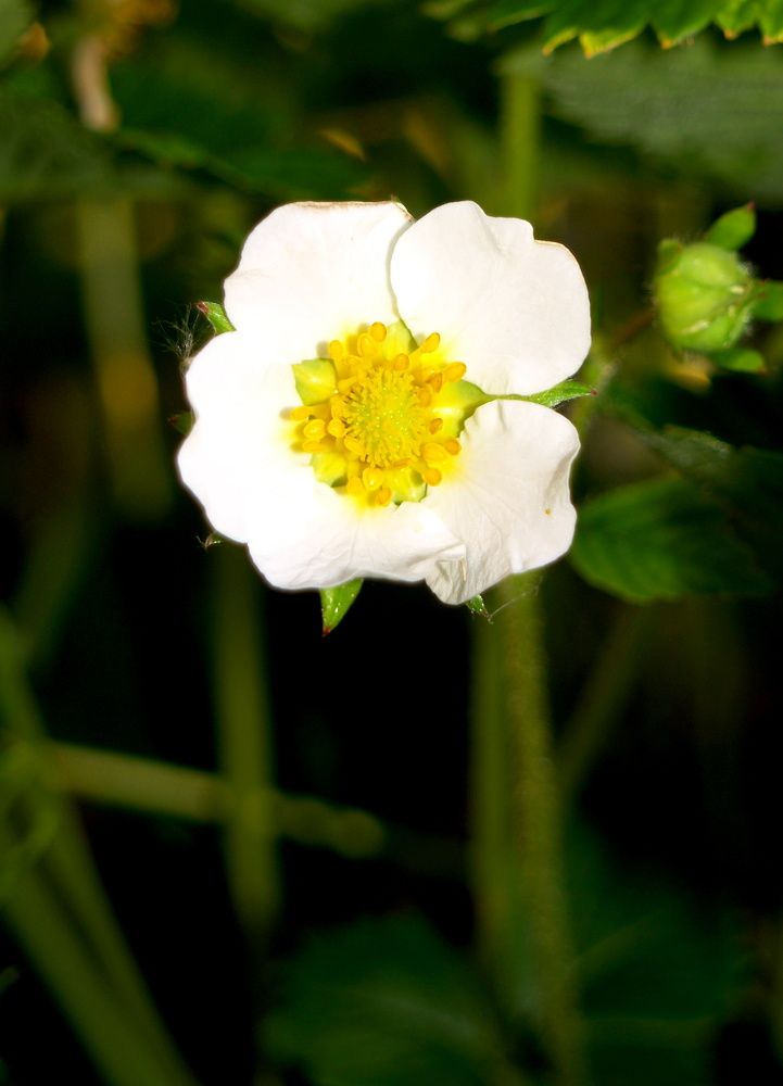 Photograph by Андрей