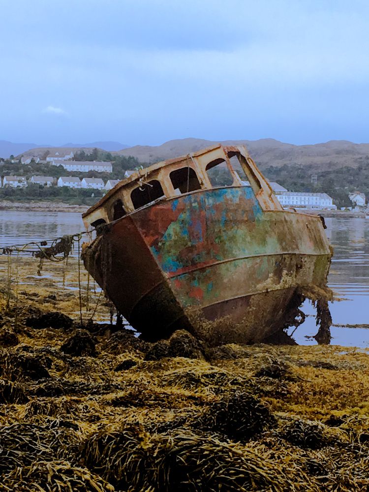 Photograph by Mamta Sofat