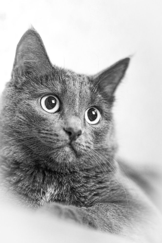 Photograph by Ваиль А.