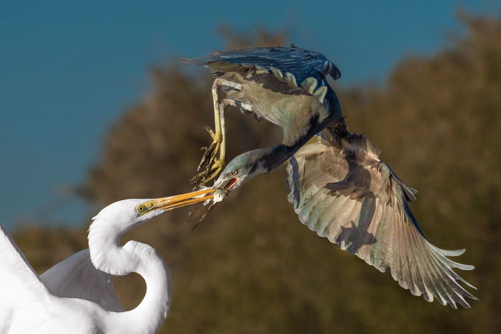 Photograph by Erfan Samanfar