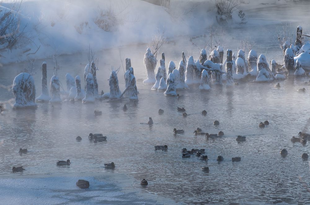 Фотография автора Виктор Руденко