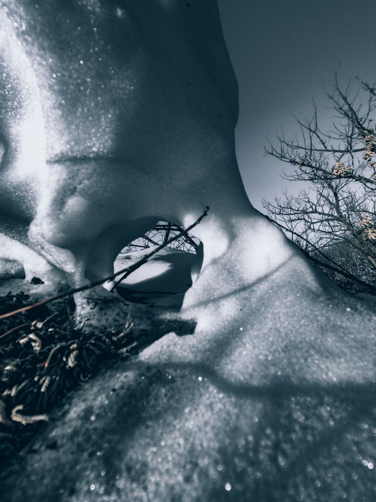 Photograph by Алексей Митрофанов