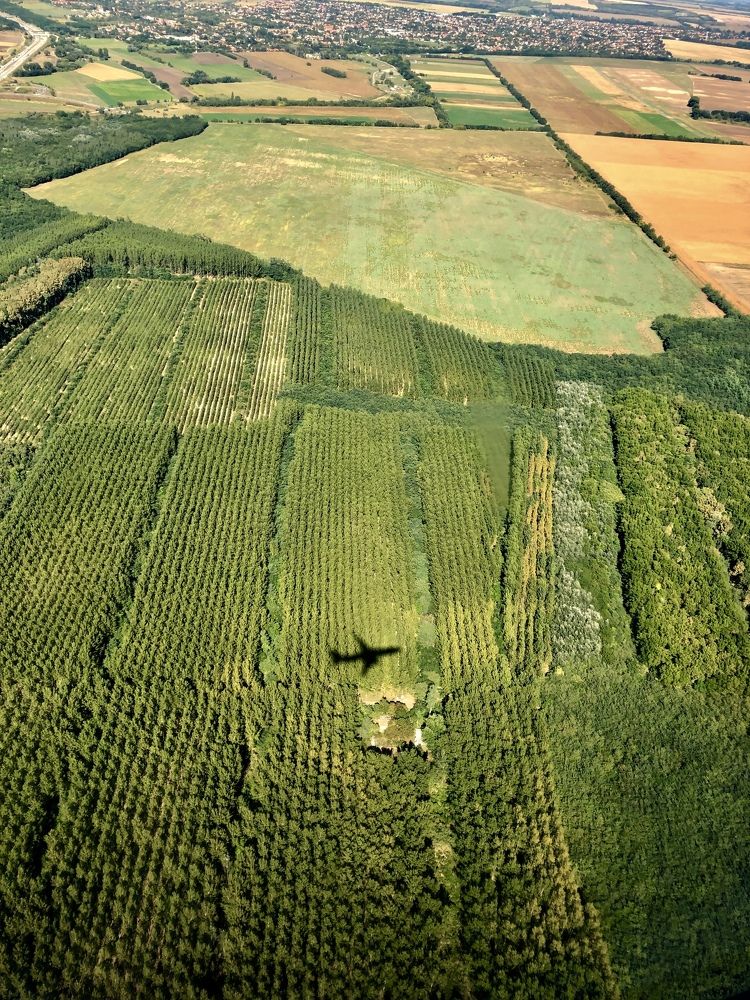 Photograph by Agnes Danielsson