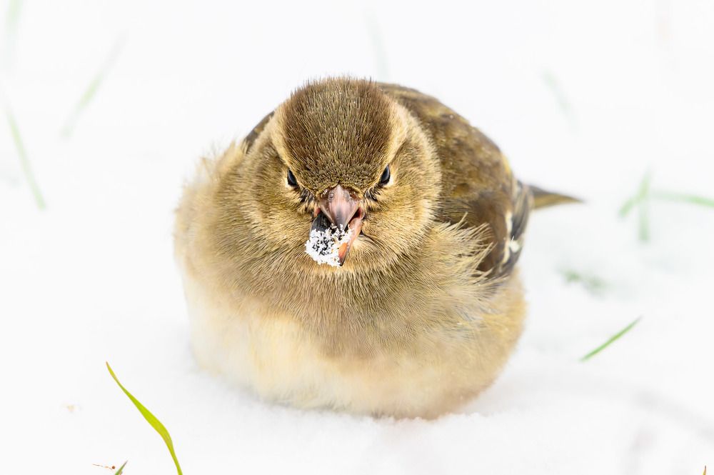Photograph by Nikolay Hristov