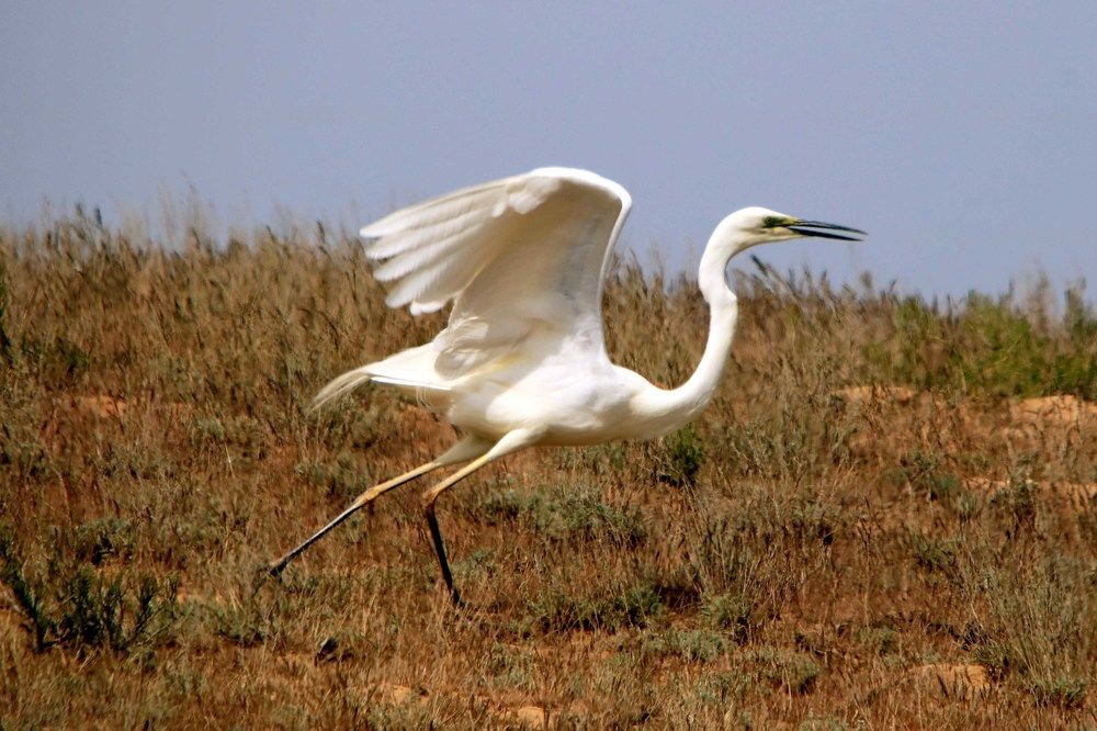 Photograph by Artyom Bukreyev