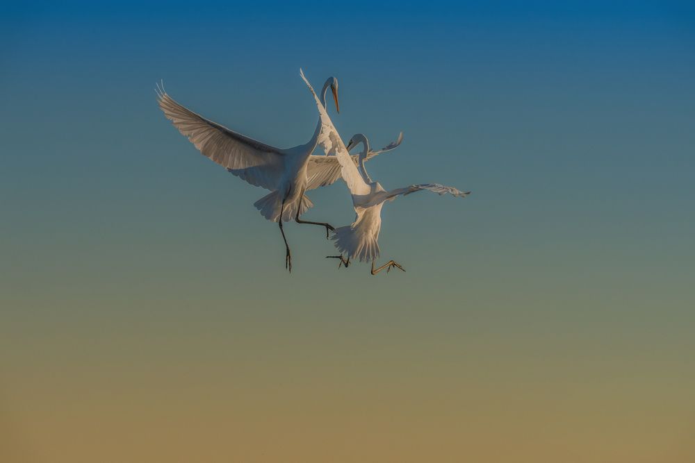 Photograph by Erfan Samanfar