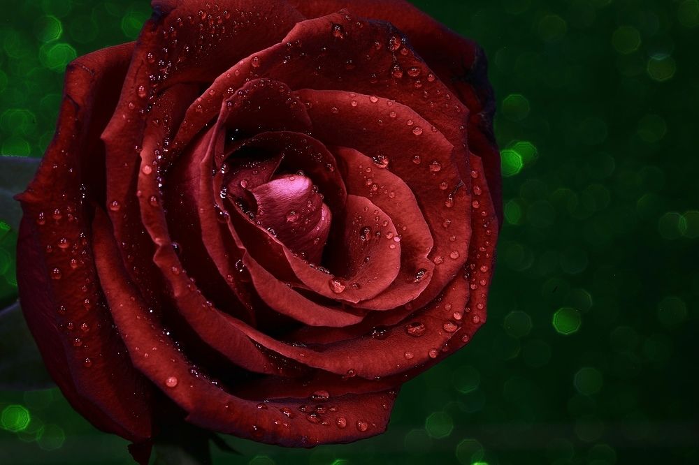 Photograph by Rafael Fattahov