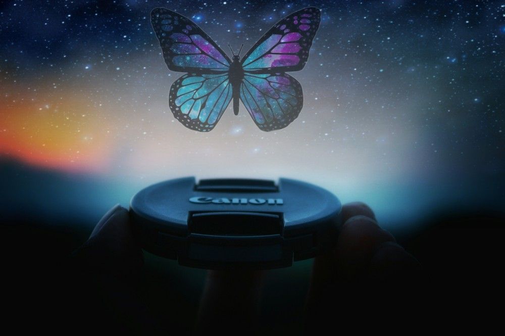 Photograph by Ravi Ranjan Kumar