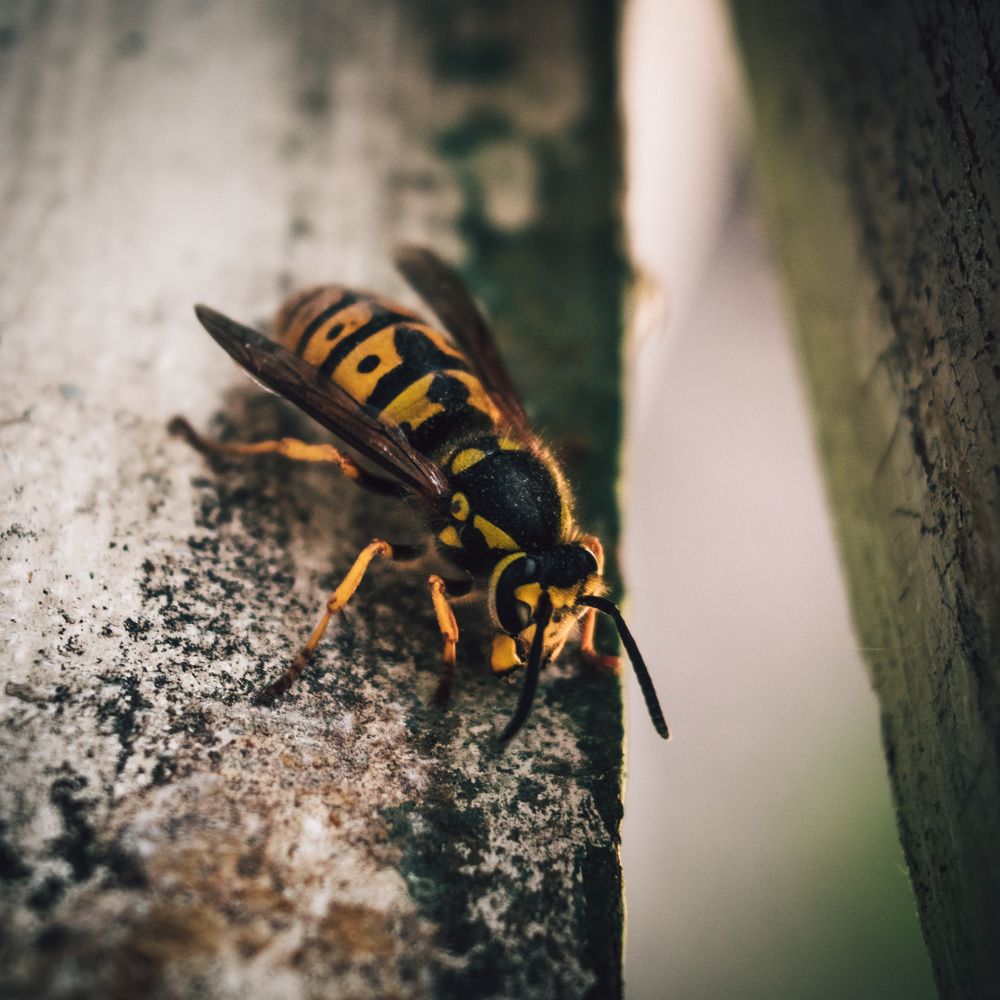 Photograph by Эн Скляров