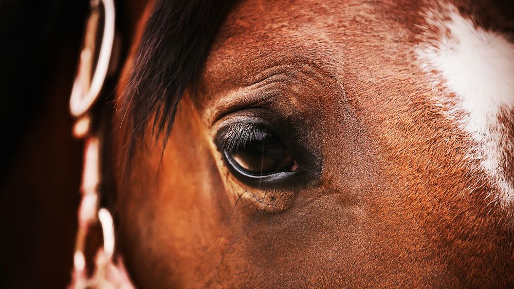 Photograph by Валерия Ватель