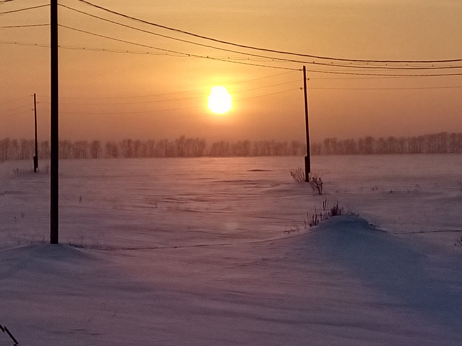 Photo #5826926
