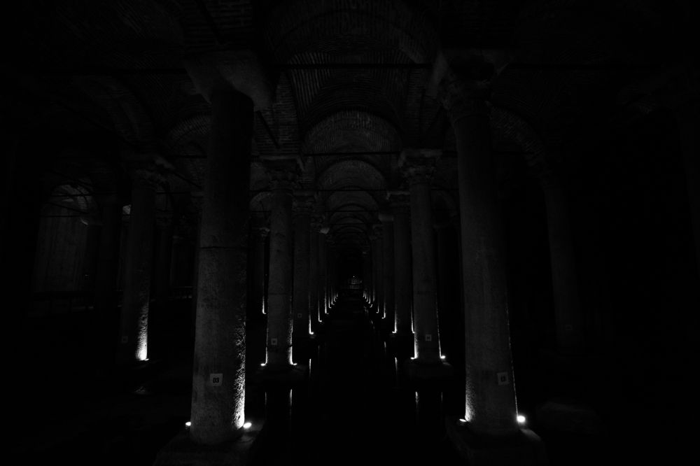 Photograph by Арина Стрябчева