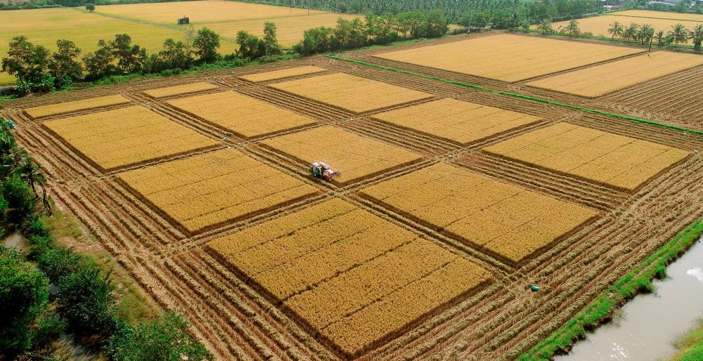 Photograph by CUONG PHAN THANH