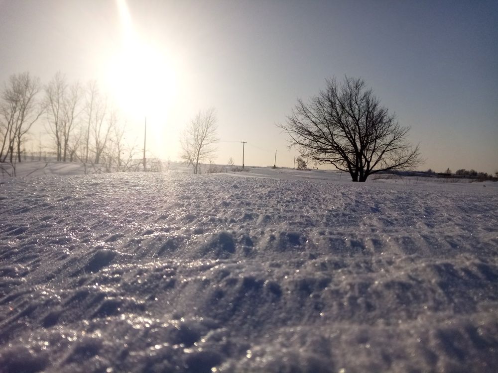 Photo #5826966