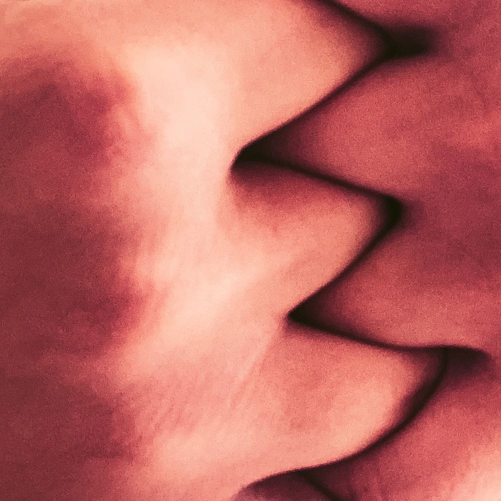 Lips? Fingers? Bust?
