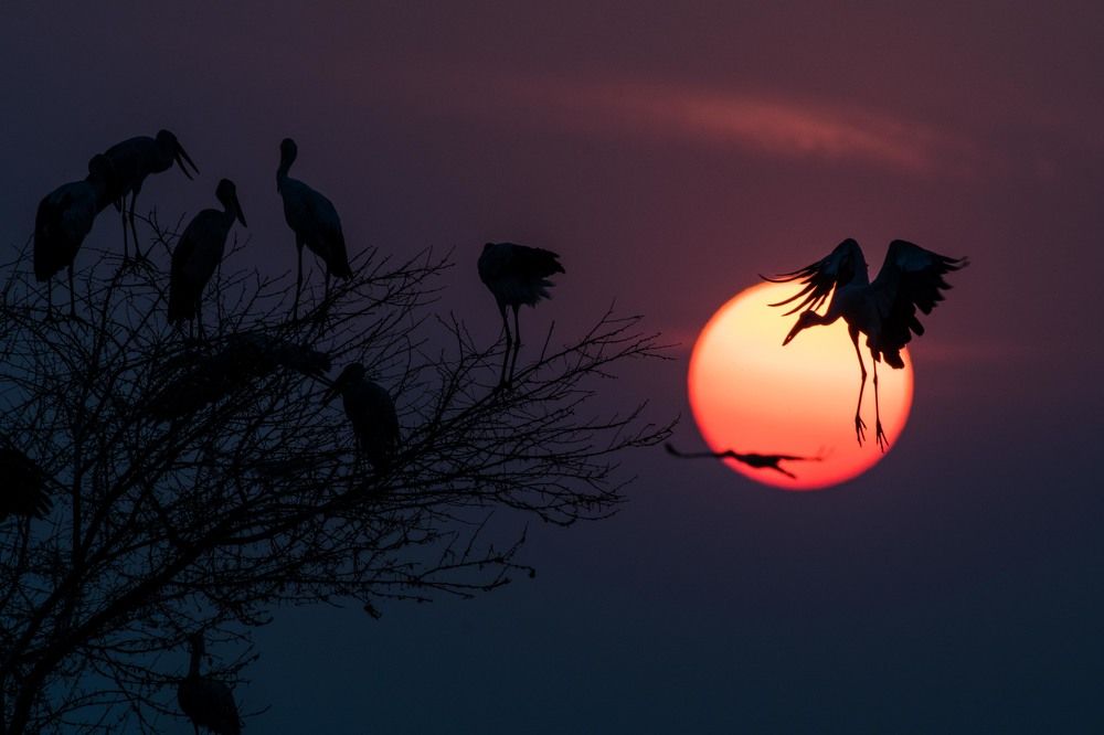 Photograph by Vikesh Bhoir