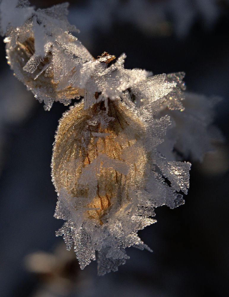 Photograph by Igor Ryzhov