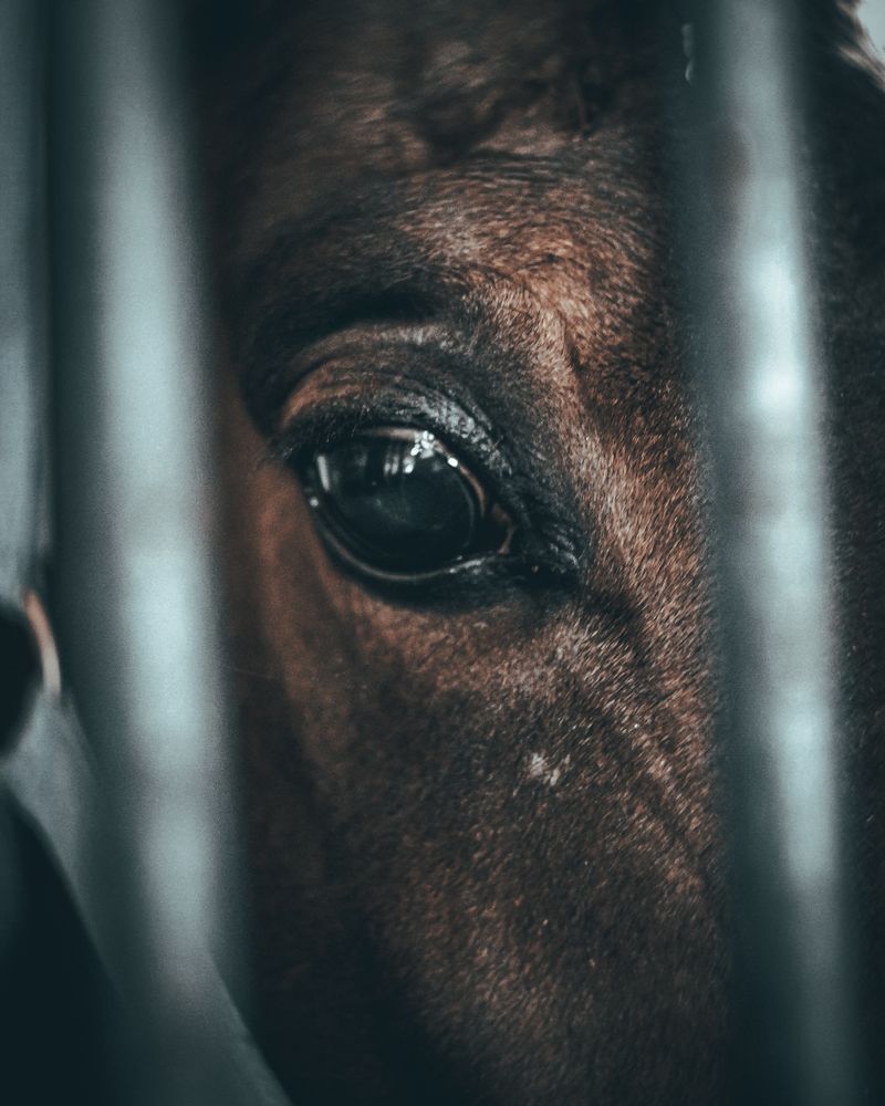 Фотография автора Максим Понькин-Едиханов