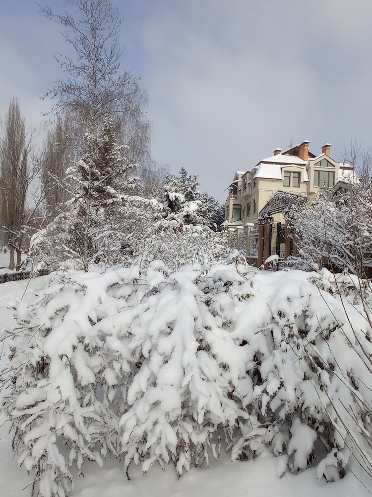 Photograph by Челышева Ирина